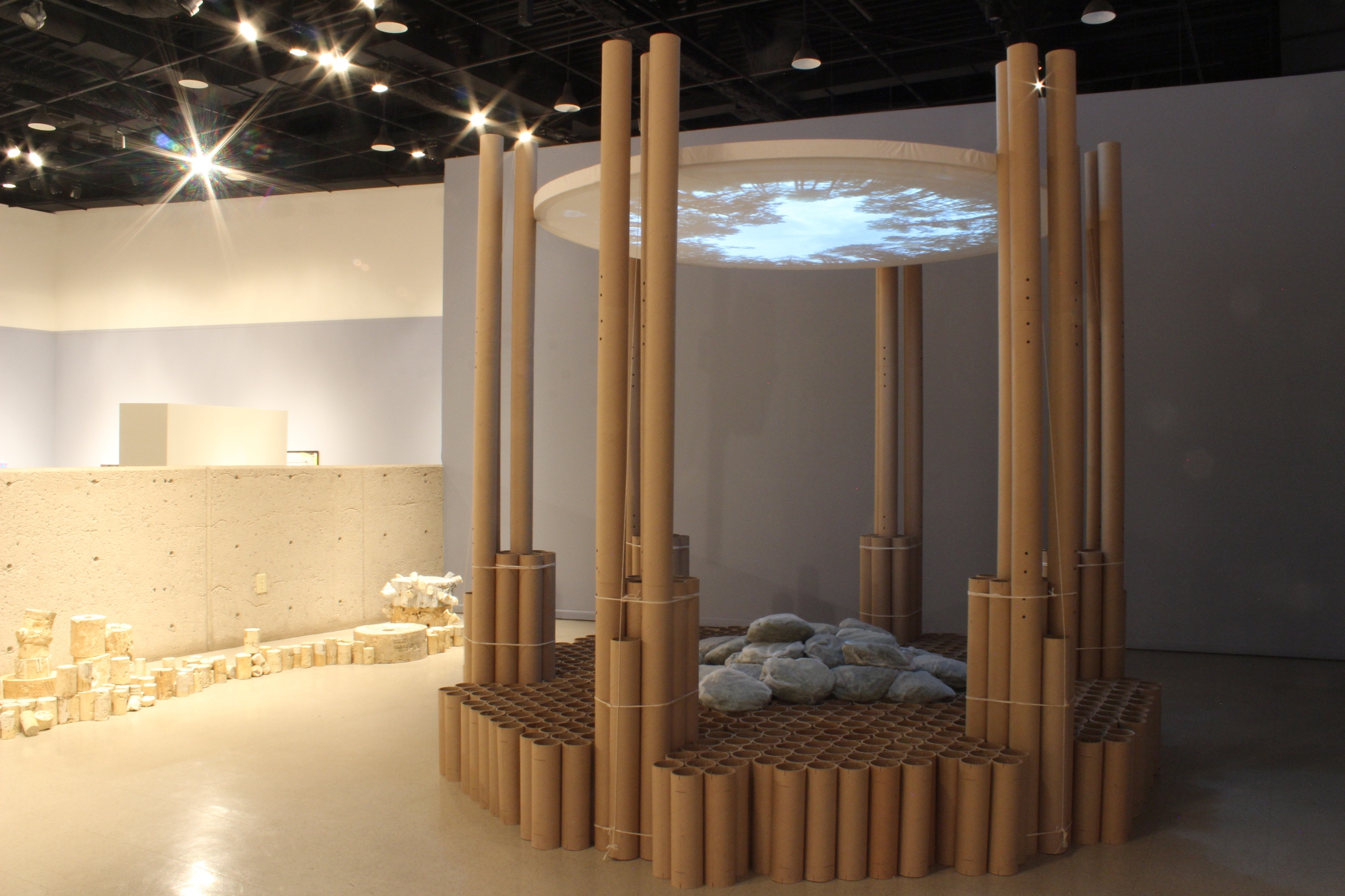 McMahonProneToCollapse257-12 (3)