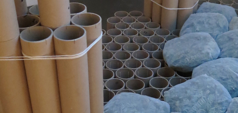 pronetocollapse_detail_web